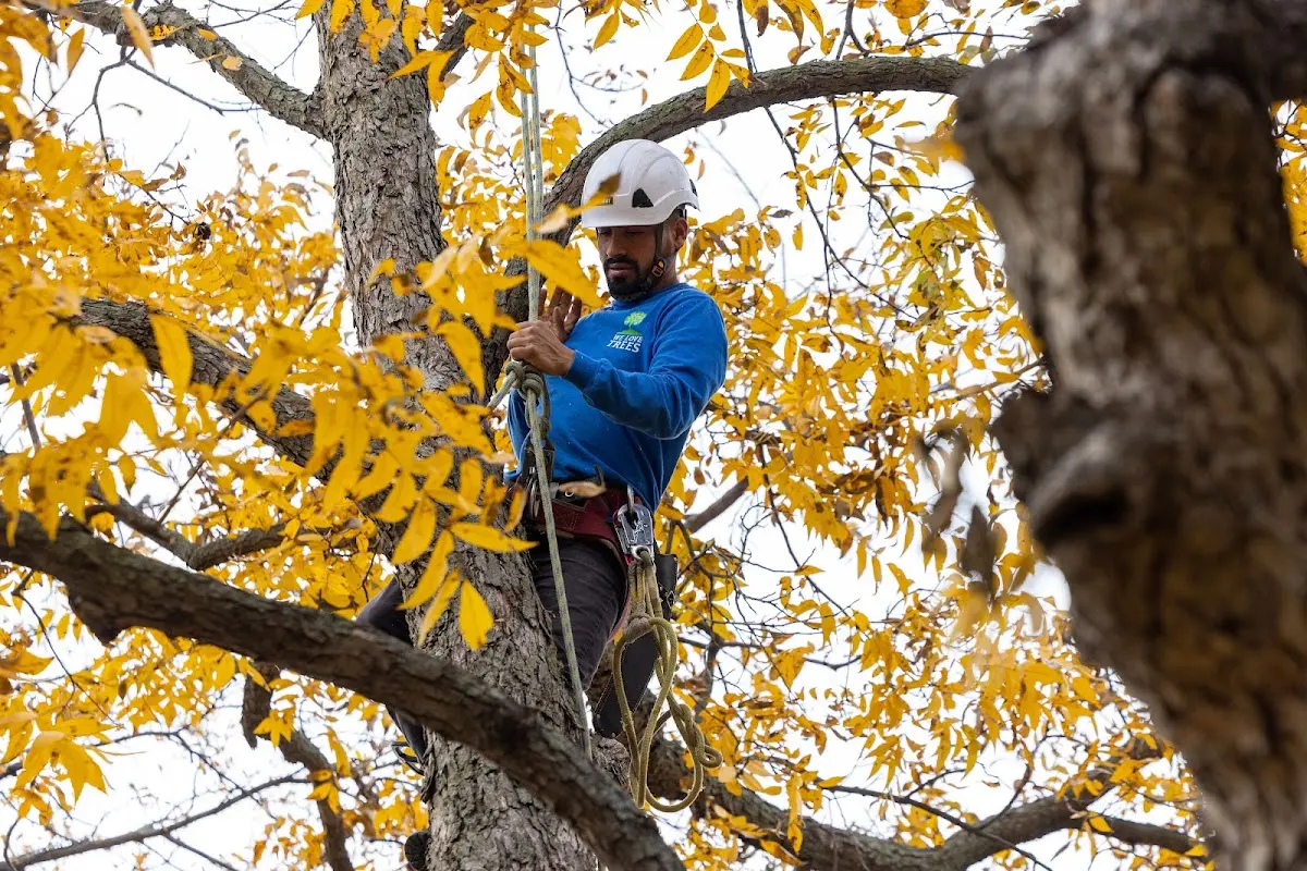 Skilled Storm Damage Cleanup crew working in Elk Horn